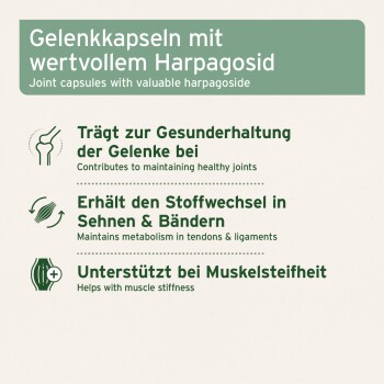 Infografik: Gelenkkapseln mit wertvollem Harpagosid — Vorteile (deutsch/englisch): Gelenke, Sehnen, Muskelsteifigkeit.