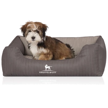 Kleiner, flauschiger braun-weißer Welpe sitzt in einem grauen Hundebett mit "KNUFFELWUFF"-Logo