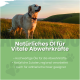 Flasche mit ALPHA-IMMUN Haustieröl von ALPHAZOO, das Vitalität und Immunsupport fördert, mit Text, der die lokale Produktion und Omega-Fettsäuren hervorhebt.