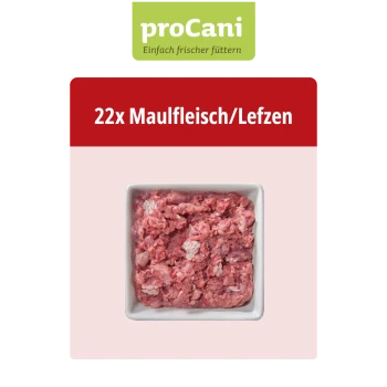 Verpacktes rohes Rindfleisch-Haustierfutter mit der Bezeichnung "proCani" und einem Foto einer Hundeschnauze, mit deutschem Text über die natürlichen Zutaten des Produkts.