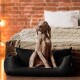 Ein grauer Weimaraner-Hund sitzt aufrecht in einem schwarzen Hundebett, mit einer gemütlichen gestrickten Decke und einem Bett im Hintergrund vor einer Ziegelwand.