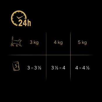 24-Stunden-Fütterungstabelle für Katzen: 3 kg → 3–3½, 4 kg → 3½–4, 5 kg → 4–4½ (goldene Symbole auf schwarzem Hintergrund).