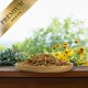 Teller mit getrockneten Mehlwürmern auf Holzoberfläche mit Pflanzen und Blumen im Hintergrund, beschriftet mit „Premium“ auf goldenem Banner.