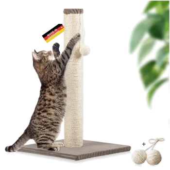 Getigerte Katze kratzt an einem beigen Sisal-Kratzbaum mit "Made in Germany"-Etikett und zwei zusätzlichen Sisalbällen.