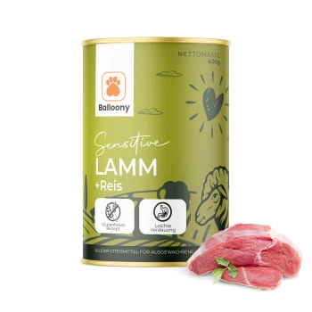 Dose von Balloony Sensitive Lamm + Reis Haustierfutter, mit einem grünen Etikett mit einer Schafillustration, glutenfreier Rezeptur und Icons für leichte Verdauung.