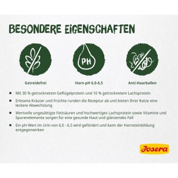 Hundefutter in verschiedenen Formen, darunter ein Knochen und gestapelte Rechtecke, vor einem weißen Hintergrund.