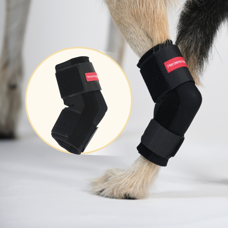 HerzensTier Sprunggelenkbandage Neopren XXXS