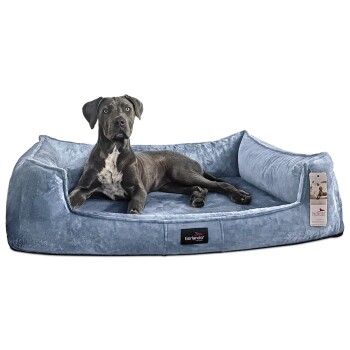 ® Orthopädisches Hundebett FRANKLIN Kuscheliger Teddy-Stoff - Hundesofa hellblau 1,1 m, 22 cm, 90 cm