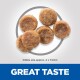 Image of round pet food kibble pieces, approximately 4 x 7.5mm in size, with the text "GREAT TASTE" prominently displayed below.