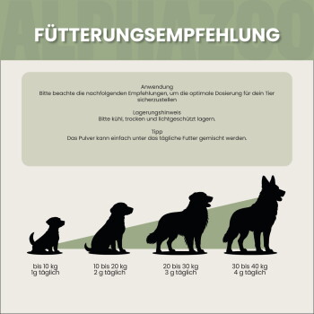 Team des Tiergeschäfts mit Hunden, das nachhaltig produzierte Produkte aus Dortmund, Deutschland, und Liebe in ihrer Verpackung hervorhebt.