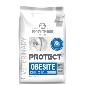 Pro-Nutrition Protect+ Obesite veterinärmedizinisches Hundefutter für erwachsene Hunde, unterstützt Sättigung, Blutzucker und Diabetes, 2-kg-Beutel.