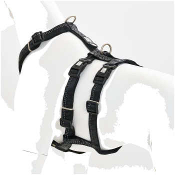 Schwarzes, verstellbares Nylon-Hundegeschirr mit Metall-D-Ringen und kleinem weißen Logotext auf den Schnallen, gezeigt an einer weißen Schaufensterpuppe.