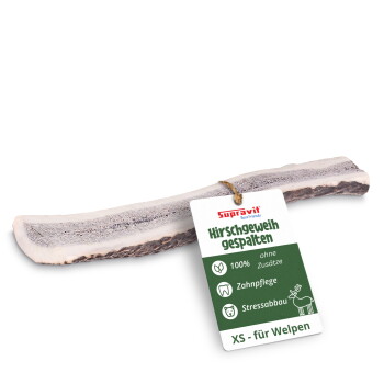 Ein großer, natürlicher Hundeknochen mit rauer Textur und heller Farbe, vor einem weißen Hintergrund.