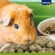 Vitacraft Vita Special Adulte Cochon d’Inde 600 g 3x600 g