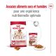 Die Verpackung von Royal Canin Hundefutter zeigt einen großen Beutel mit "Medium Adult" Trockenfutter und eine kleine Dose Nassfutter, die optimale Ernährung hervorhebt.
