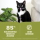 Eine schwarz-weiße Katze leckt sich die Lippen und steht vor einer blätterreichen Pflanze. Der Text lautet "85% HOCHWERTIGE TIERISCHE ZUTATEN" und "OHNE GETREIDE."
