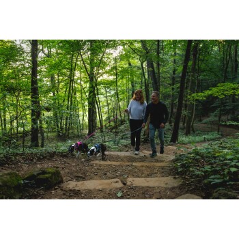 Ein Paar geht mit zwei Hunden an Leinen auf einem steinigen Weg in einem üppigen grünen Wald, umgeben von hohen Bäumen und Sonnenlicht, das durch die Blätter filtert.