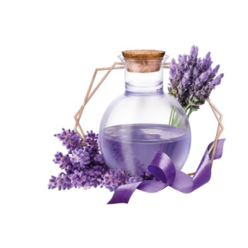 PREMIERE Excellent Lavendel-Duft | FRESSNAPF