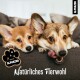 Ein verspielter Corgi, der auf einer Couch liegt und sich die Lippen leckt, mit dem Text "Natürliches Tierwohl" und dem Logo "ALPHAZOO" in der Ecke.