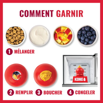 Guide de garniture KONG rouge avec croquettes, yaourt, dés de pomme et myrtilles ; titre français « COMMENT GARNIR » et étapes « MÉLANGER, REMPLIR, BOUCHER, CONGELER »