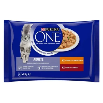 Emballage de nourriture pour chats Purina ONE mettant en vedette un chat gris, avec un texte indiquant qu'il s'agit de nourriture pour chats adultes, soutenant le système immunitaire et la santé des articulations.