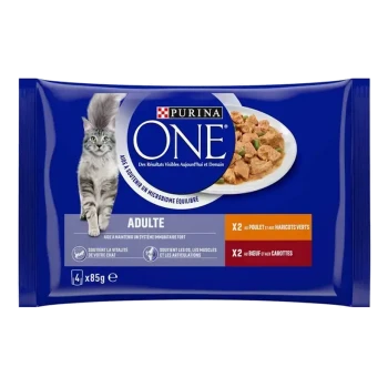Emballage de nourriture pour chats Purina ONE mettant en vedette un chat gris, avec un texte indiquant qu'il s'agit de nourriture pour chats adultes, soutenant le système immunitaire et la santé des articulations.