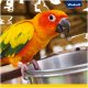 Ein lebhafter Sonnen-Conure mit orangefarbenen, gelben und grünen Federn sitzt auf einer Metallschüssel und schaut neugierig den Betrachter an. Vitakraft-Logo sichtbar.