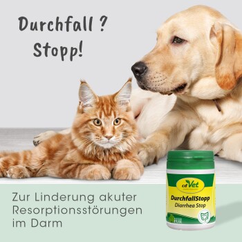cdVet DurchfallStoppPlus 91 g