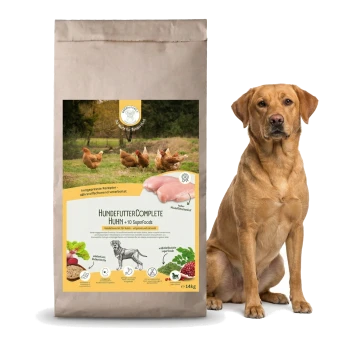 Braune Papiertüte mit Hundefutter, beschriftet mit 'Green Pawly' und 'Hundetrockenfutter' sowie 'Plus 10 Superfoods', mit Huhn und Beeren.