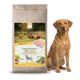 Braune Papiertüte mit Hundefutter, beschriftet mit 'Green Pawly' und 'Hundetrockenfutter' sowie 'Plus 10 Superfoods', mit Huhn und Beeren.