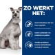 Een zittende hond aan de linkerkant; tekst aan de rechterkant benadrukt de voordelen van huisdierproducten: verteerbaar, laag vet, prebiotica, gember, antioxidanten en omega 3.