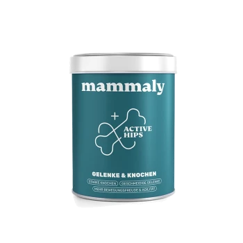 Türkisfarbene Dose mit Haustierergänzung 'mammaly' mit Knochen-Grafik 'ACTIVE HIPS' und Text 'GELENKE & KNOCHEN'.