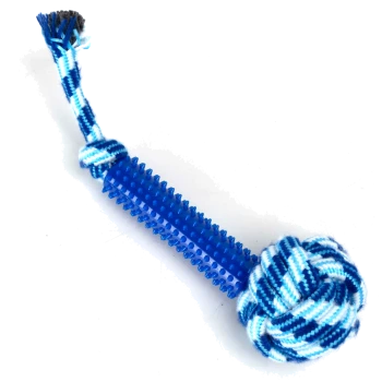 Blau-weißes Hundespielzeug mit einem stacheligen Gummistick und einem geknoteten Seilball, entworfen zum Kauen und Spielen.