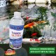 Aqua Cerea TeichKlar ULTRA Flasche für Teichklarheit, mit "Schnelle Verbesserung der Sichttiefe im Teich" auf grünem Hintergrund mit Koi-Fischen.