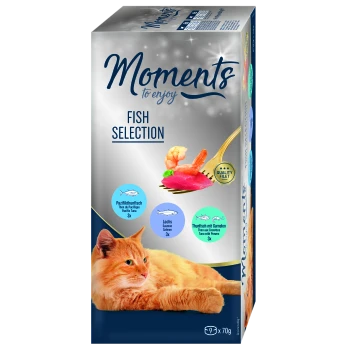 Eine Schachtel 'Moments to Enjoy' Fischauswahl Katzenfutter mit einer orangefarbenen Katze daneben, die Pazifischen Thunfisch, Lachs und Thunfisch mit Garnelen enthält.