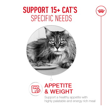 Circular photo of a long-haired cat by a food plate; text reads "SUPPORT 15+ CAT'S SPECIFIC NEEDS" and "APPETITE & WEIGHT"