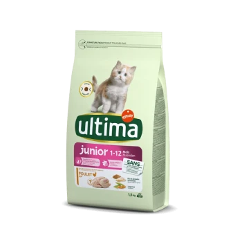 Sac de nourriture pour chats Ultima pour chatons, 1,5 kg, présentant un chaton joueur sur le devant, étiqueté "junior 1-12 mois" et "poulet."