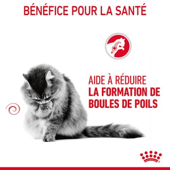 Hairball Care 10 kg