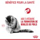 Hairball Care 10 kg