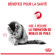 Un chat tigré gris se toilettant, avec un texte indiquant 'BÉNÉFICE POUR LA SANTÉ' et 'AIDE À RÉDUIRE LA FORMATION DE BOULES DE POILS.'