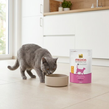 Grijze kat drinkt uit een beige bakje naast een Select Gold Medica Veterinary Diet 300g zak in een keuken – AI-gegenereerd