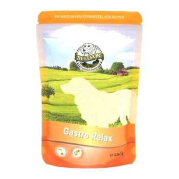 Bellfor Gastro Relax Pulver – 250g
