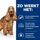 Een gouden cocker spaniel staat naast een blauwe achtergrond met "ZO WERKT HET:" en drie opsommingstekens over gezondheidsvoordelen.