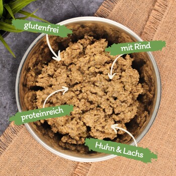 Schüssel mit Haustierfutter mit einer strukturierten Mischung, mit den Aufschriften "glutenfrei", "proteinreich", "mit Rind" und "Huhn & Lachs."