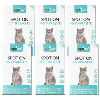 Sechs Boxen von "optipet SPOT ON ANTIPARASITE" für Katzen, die eine graue Katze und Texte in Englisch und Deutsch über Floh-, Zecken- und Milbenschutz zeigen.