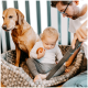 Ein Kind, das einen Apfel hält, sitzt auf einem gemütlichen Haustierbett neben einem Hund, während ein Erwachsener in der Nähe einen Staubsauger benutzt.