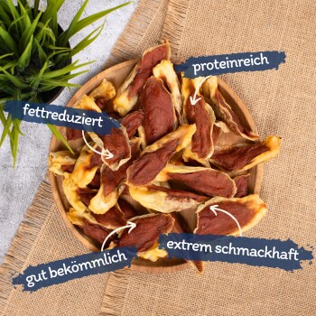Ein Holzbrett mit Hundeleckerlis, die auf Deutsch beschriftet sind: "fettreduziert", "hoher Proteingehalt", "leicht verdaulich" und "extrem schmackhaft", mit einer grünen Pflanze im Hintergrund.