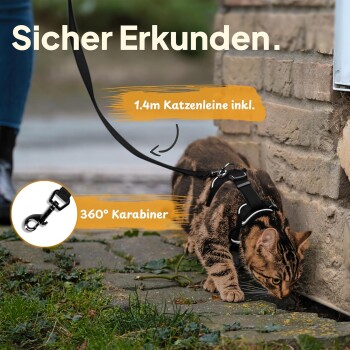 Eine getigerte Katze in einem schwarzen Geschirr und Leine im Freien, mit dem Text: "Sicher Erkunden," "1,4 m Katzenleine inkl.," "360° Karabiner."