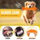 Golden Retriever mit orangefarbenem Kauspielzeug; Banner 'SAUBERE ZÄHNE' und unten 'VORHER'/'NACHHER'-Zahnaufnahmen sowie 'WEICHHEIT'.