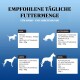 Infografik, die die empfohlenen täglichen Futtermengen für Hunde basierend auf der Größe zeigt: klein (130-220g), mittel (220-370g), groß (370-700g) und riesig (700g+).